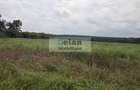 Ciolpani - Padurea Snagov 672 Mp, Toate Utilitatile, Padure, 18 Deschi - 2