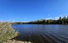Teren intravilan Balotesti / 5.000 mp / D: 18 m / langa lac / comision 0% - 5