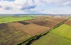 Teren de 10 Hectare în Arad - 4