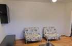 Dristor - Camil Ressu | 2 Camere | Decomandat | Boiler | Metrou - 4