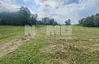 Teren Extravilan | 23 Ari | Satu Mare | Suceava - 1