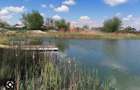 Teren cu Vedre Lac - 4