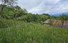 Domeniu Premium 1.7 Ha Intravilan Zărnești | Lizieră Pădure | Ideal Resort - 5
