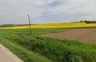 Teren agricol 64 ha, 800 m deschidere - 3