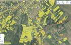 Teren in Cisnadie - intravilan - zona P+2, 50 eur/mp - 5