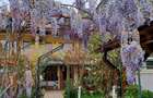 Casă P+1+M de vânzare, 5 camere, foișor, bucătărie de vară, zona Mamaia Sat