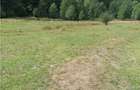 Teren intravilan - Berevoiesti - Arges - 4