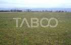 Teren 3000 mp intravilan langa Arka Parc si Arena Platos in Paltinis - 2