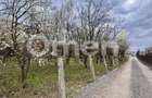 Teren intravilan | 800 mp | zona Mărul de Aur | pretabil pentru investiție - 2
