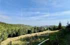 Teren de vanzare - 11200 mp, extravilan - Zona Castelnor - 1