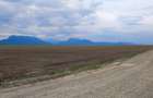 Carpinis, 10000mp-arabil, 25000euro - 5