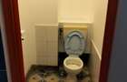 Spatiu Comercial zona Poitiers - Aumovio - 15