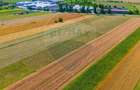 TEREN extravilan- 6 E/MP- CU PLANTATIE DE TRANDAFIRI! Teliu 7000mp - 3