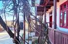 Casa individuala P+M,casa batraneasca locuibila si 805mp teren,Savinesti - 16