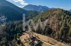 Teren pentru construcții în Săcele, cu potențial imens - 9