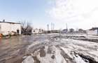 RECO . Proprietate industriala Tileagd . - 22