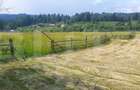 Teren 10.000 mp, intravilan, zona Neagra Sarului - 3