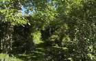 Vila 2005,S+P+E+M,living,dinning,3 dormitoare,3 bai,teren 2090mp,piscina,garaj - 8