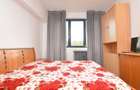 INCHIRIERE APARTAMENT 2 CAMERE PIATA MUNCII-VICTOR BABES - 9