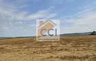 Teren intravilan– 50.000 mp, Bacău, Șoseaua Hol - 5