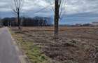 Ciolpani adiacent  DN1  teren  12800 mp  parcelabil  toate utilitatile - 5
