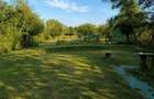 CASĂ DE VACANȚĂ RENOVATĂ | 2.800 MP TEREN INTRAVILAN | LIVADĂ | FOIȘOR | - 4
