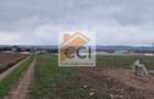 Teren 10,000mp Bacau / Strada Alexandru Safran - 6