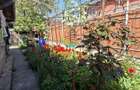 Casa 2 Camere Parter Teren 350 mp Berceni Luica - 2
