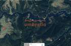Teren de vanzare 29.131m²/35€ m² lac Belis, la Paraul Butoaie, Giurcuta - 8