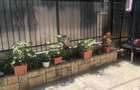 Casa 4 camere - Eforie Nord - 89.900 euro (Cod E2+E7) - 15