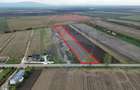 Teren intravilan 10869mp Mircestii Vechi / DJ 204E - 2