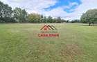 Teren intravilan in Campina--10.072mp--50e - 5