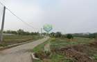 Teren 1200mp Simnicu de Sus | Romanesti | DE1106 Izvor
