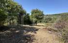 Teren de vanzare, 1600 mp, zona Schela - 5