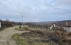 Teren construibil cu utilitati Saldabagiu de Munte 900m - 3