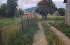 Comision 0% - teren intravilan Brasov - 3
