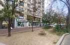 Spatiu comercial de vanzare pe Bulevardul Corneliu Coposu 3-5 - 5