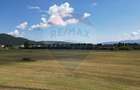 Teren intravilan de vânzare 1180 mp – Zărnești - 12
