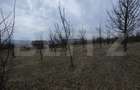 Teren extravilan de vanzare, 900 mp, Bistrita - 3
