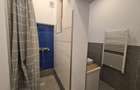 VANZARE  3 CASE CALEA CALARASI - HALA TRAIAN - 15