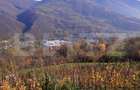Casă la munte cu teren generos de 9340mp în zona Căpâlna - Valea Sebeșului - 11