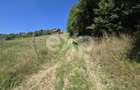 3.757 mp în Poiana Mărului | Teren cu potențial, lângă case - 9