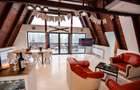 Cabana A-frame 5 camere la Belis / Business functional si profitabil - 4