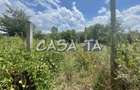 Casa 3 Camere + Teren aferent (5385mp) si Anexe, Balcesti - 8