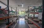 Spatiu comercial stradal 2.200 mp, Brancoveanu | venit stabil - 10