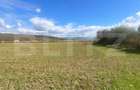 Teren Extravilan în Apropiere de Jelna – 25.800 mp, cu Utilități - 2