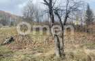 Teren intravilan de vânzare – 1355 mp | Utilități pe teren - 3