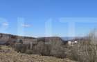 Teren intravilan 4000 mp | Panoramă superbă | Lângă statia meteo - 6