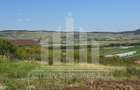 Teren intravilan | De vanzare | 1000 mp | 17 ml deschidere | Micesti - 2