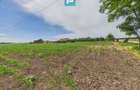 Teren extravilan în suprafață de 10.000 mp, Arad - 13